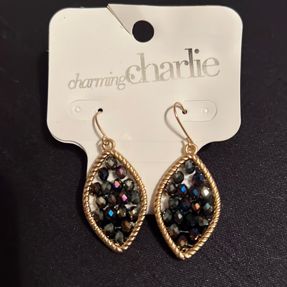 Charming Charlie’s gold and navy earrings